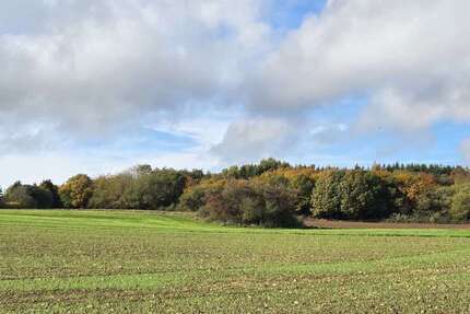 Haus Köln Lövenich - 5 Zimmer, 100 m&sup2;, 685.000&euro; | Angebot:25857610