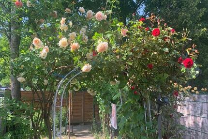 Haus Eschweiler - 4 Zimmer, 100 m&sup2;, 230.000&euro; | Angebot:25103432