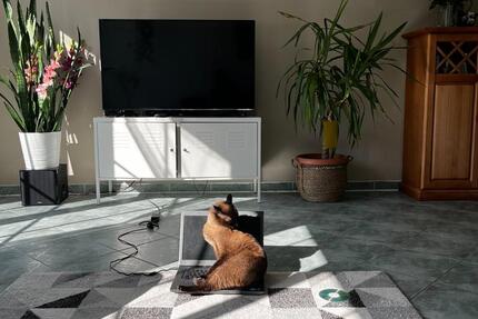 Haus Kall - 4 Zimmer, 125 m&sup2;, 1.400&euro; | Angebot:25967724