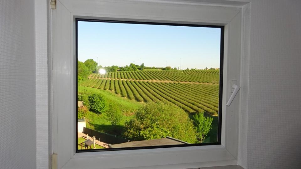 Dachgeschoßwohnung Herzogenrath - 2 Zimmer, 54 m&sup2;, 730&euro; | Angebot:24869982