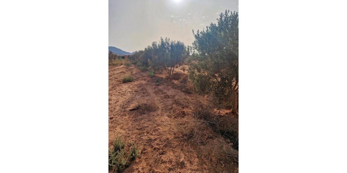 Einfamilienhaus Eschweiler - 45.000&euro; | Angebot:20452932