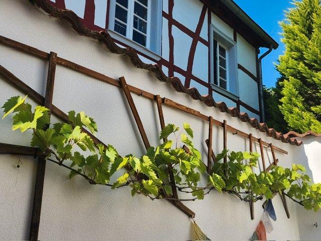 Reihenhaus Euskirchen - 3 Zimmer, 93 m&sup2;, 1.200&euro; | Angebot:26610640