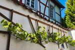 Reihenhaus Euskirchen - 3 Zimmer, 93 m&sup2;, 1.200&euro; | Angebot:26610640