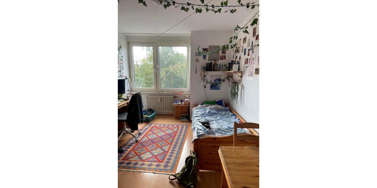 Etagenwohnung Aachen Aachen-Mitte - 1 Zimmer, 18 m&sup2;, 500&euro; | Angebot:25449343