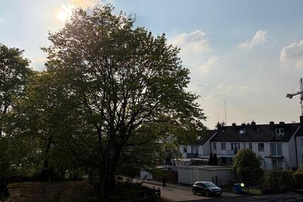 Wohnung Düren Distelrath - 2 Zimmer, 60 m&sup2;, 610&euro; | Angebot:26440863