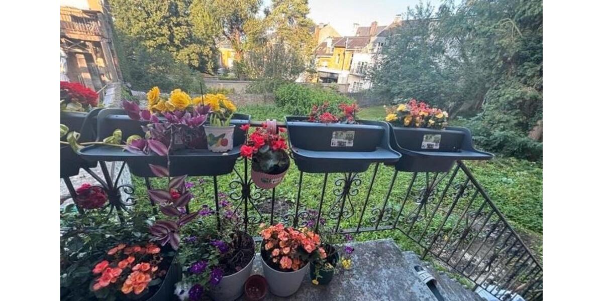 Einfamilienhaus Aachen Aachen-Mitte - 3 Zimmer, 120 m&sup2;, 349.000&euro; | Angebot:25055758