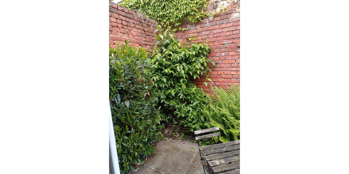 Erdgeschoßwohnung Aachen Aachen-Mitte - 1 Zimmer, 41 m&sup2;, 750&euro; | Angebot:26538367