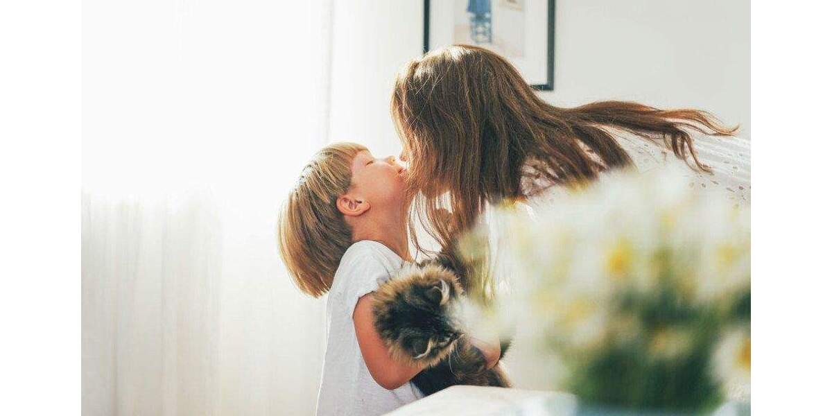 Mehrfamilienhaus, Wohnhaus Bedburg Kaster - 1 Zimmer, 272 m&sup2;, 531.739&euro; | Angebot:25683358