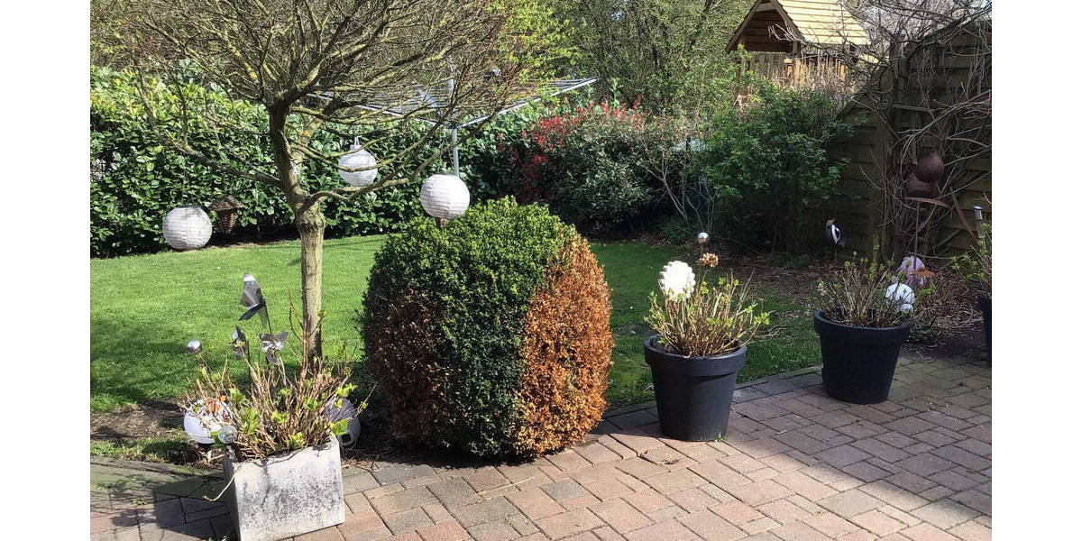 Doppelhaushälfte Mechernich Breitenbenden - 5 Zimmer, 126 m&sup2;, 429.500&euro; | Angebot:25996634