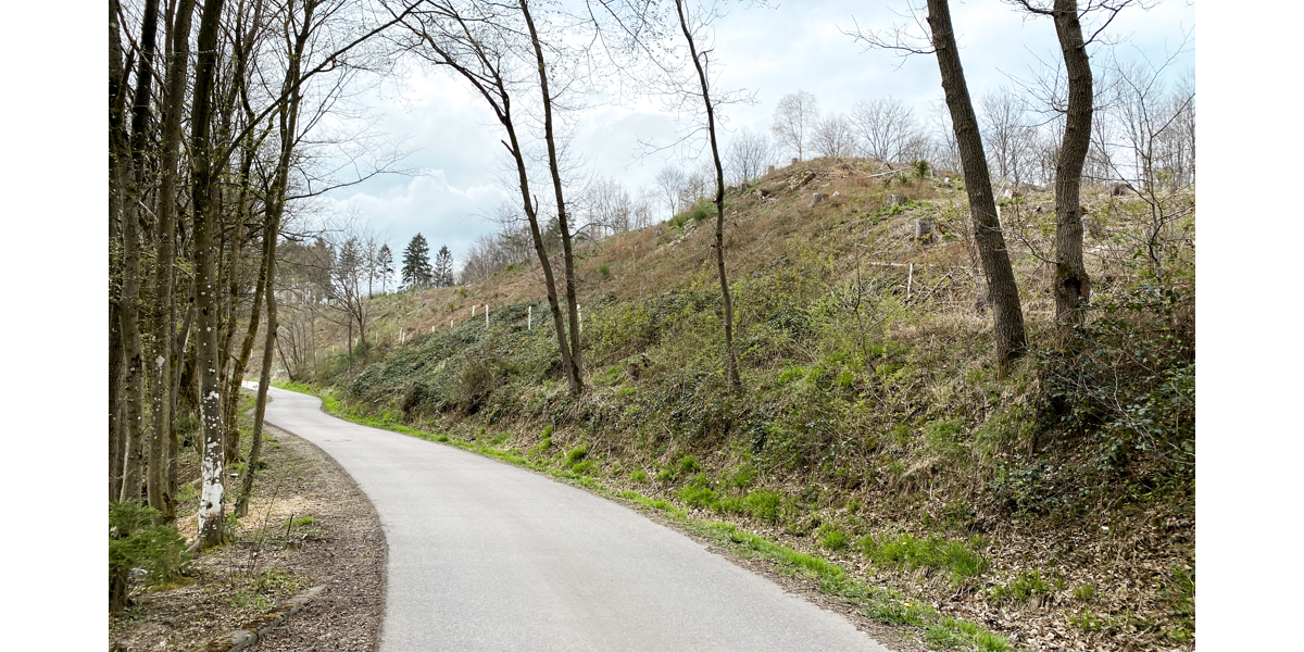 JÄSCHKE - Grundstück in Schevenhütte - Grundstück Stolberg Gressenich | Angebot:22508342
