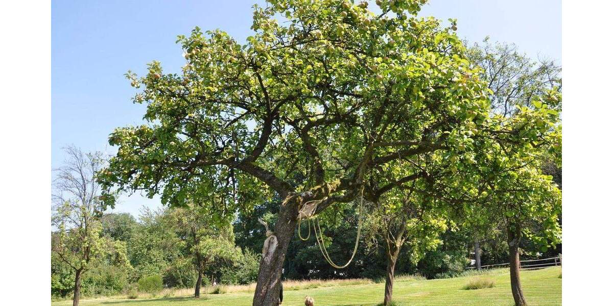 Einfamilienhaus Stolberg (Rhld.) Venwegen - 7 Zimmer, 148 m&sup2;, 549.000&euro; | Angebot:25732251