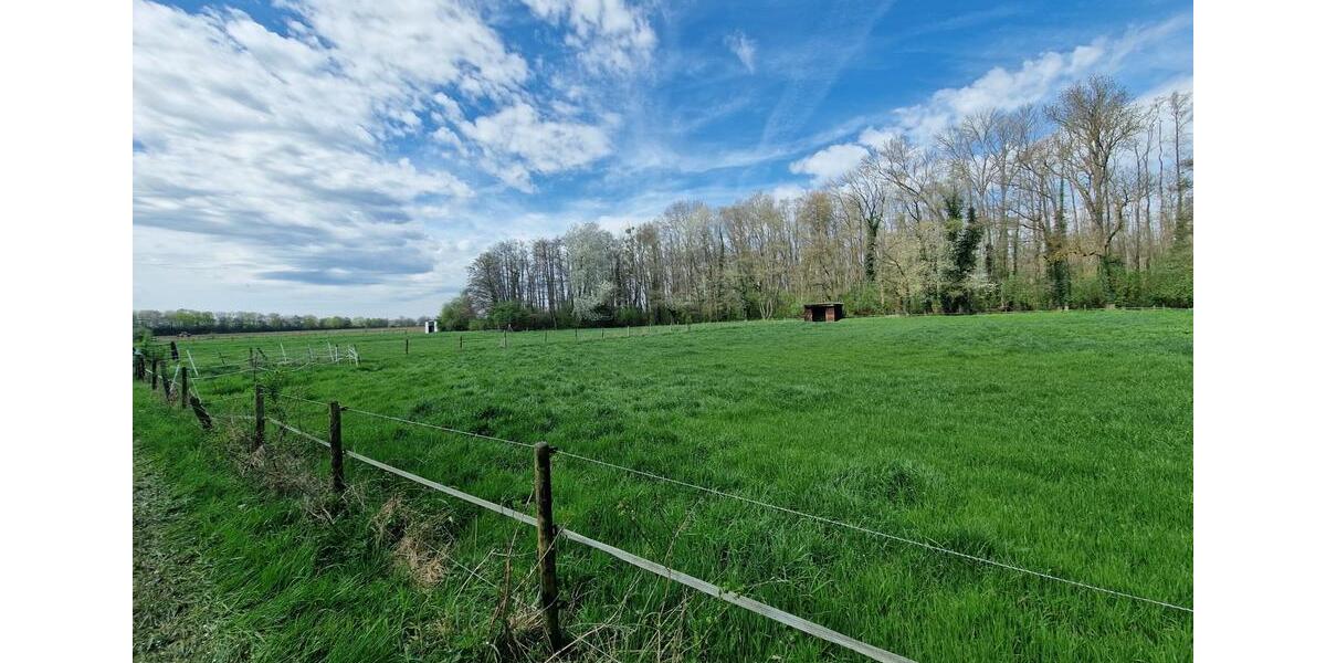 Bauernhaus, Landhaus Vettweiß - 7 Zimmer, 238 m&sup2;, 785.000&euro; | Angebot:26901697