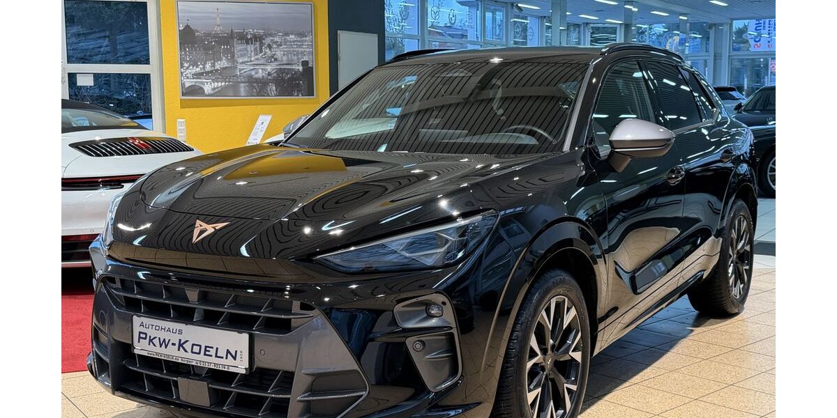 Cupra Terramar 18.000 km 36.999 &euro; Kerpen 50171