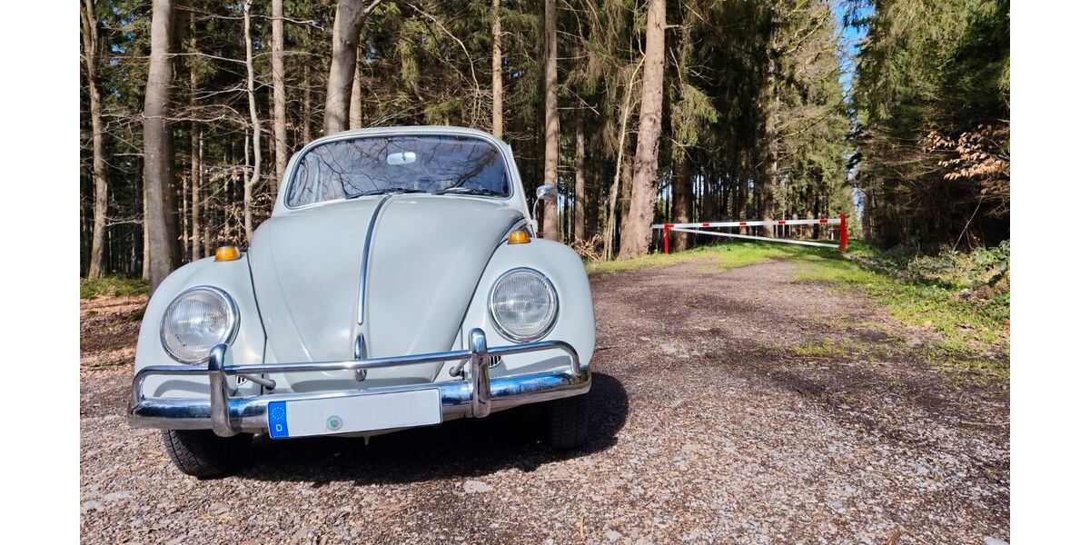 VW Käfer 68.500 km 11.500 &euro; Roetgen 52159