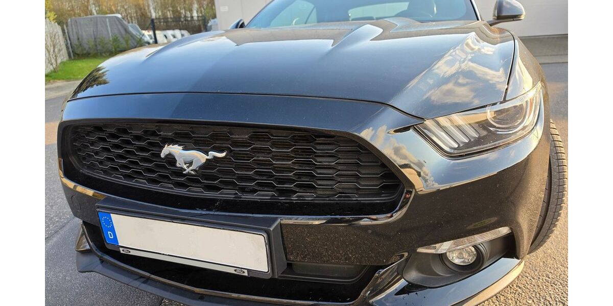 Ford Mustang 106.000 km 22.999 &euro; Bergheim 50129