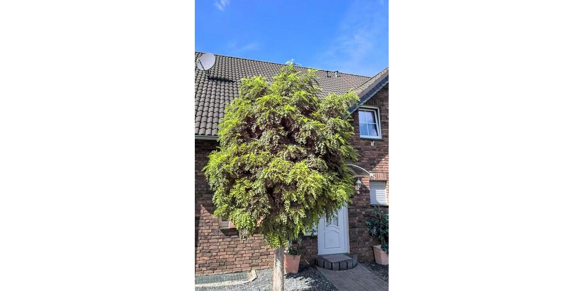Doppelhaushälfte Zülpich - 5 Zimmer, 150 m&sup2;, 449.000&euro; | Angebot:26977794