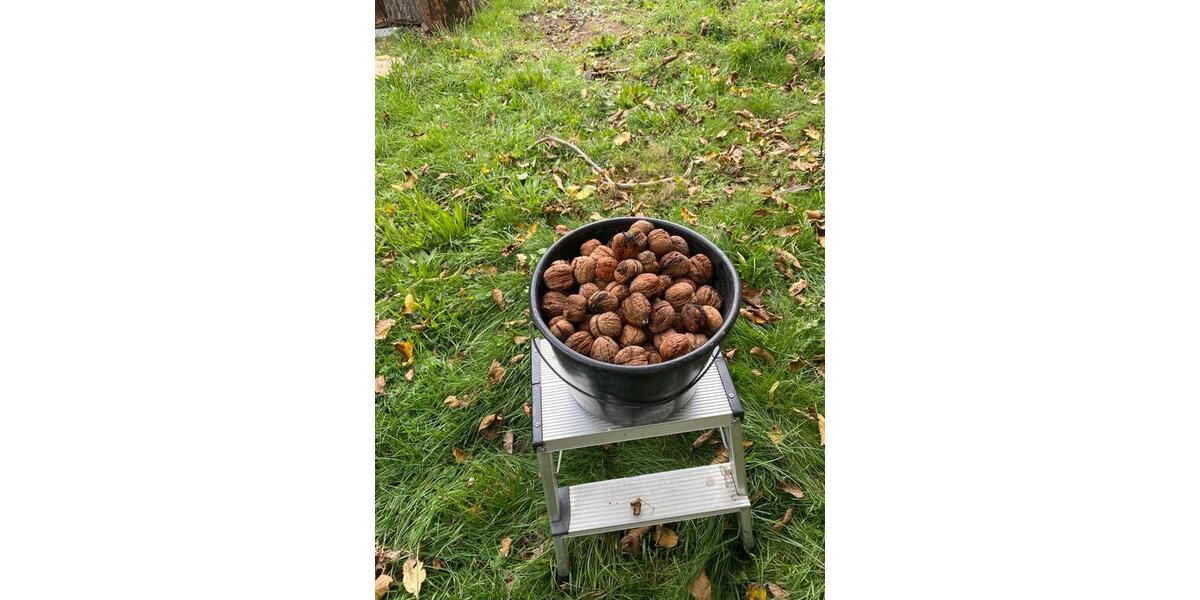 Einfamilienhaus Vettweiß - 8 Zimmer, 260 m&sup2;, 389.000&euro; | Angebot:25844064