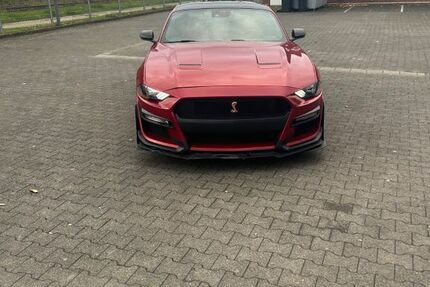 Ford Mustang 21.000 km 28.500 &euro; Bergheim 50127