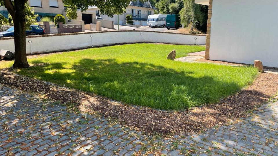 Villa Zülpich - 5 Zimmer, 270 m&sup2;, 2.600&euro; | Angebot:25416621