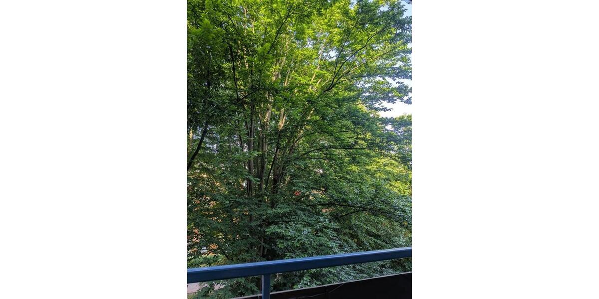 Etagenwohnung Aachen Aachen-Mitte - 1 Zimmer, 90 m&sup2;, 530&euro; | Angebot:25962574