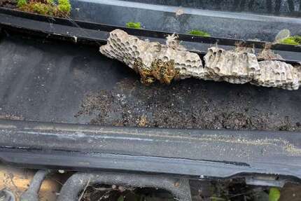 Peugeot 106 10.309 km 200 &euro; Hochkirchen (Nörvenich) 52388