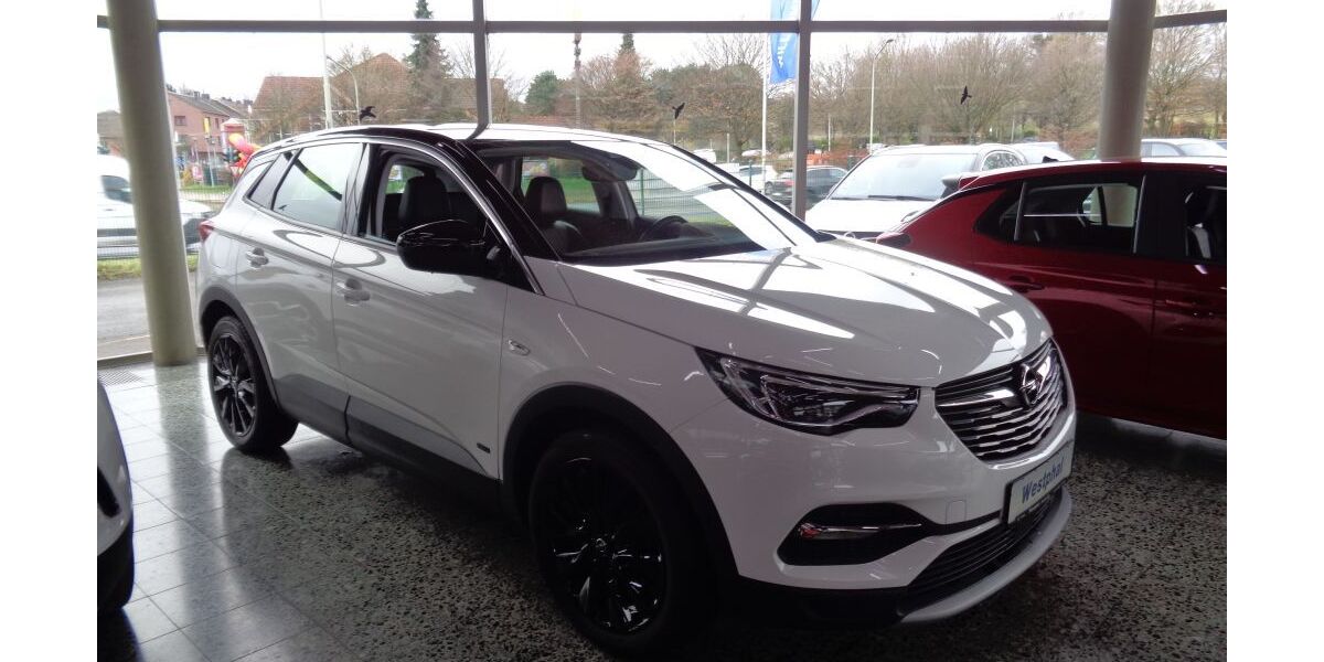 Opel Grandland (X) 59.869 km 21.900 &euro; Eschweiler 52249