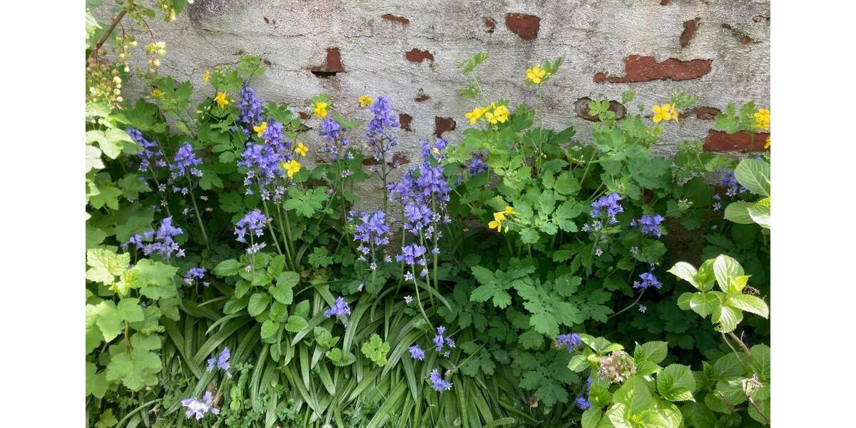 Gewerbeobjekt Aachen Aachen-Mitte - 200&euro; | Angebot:25276994