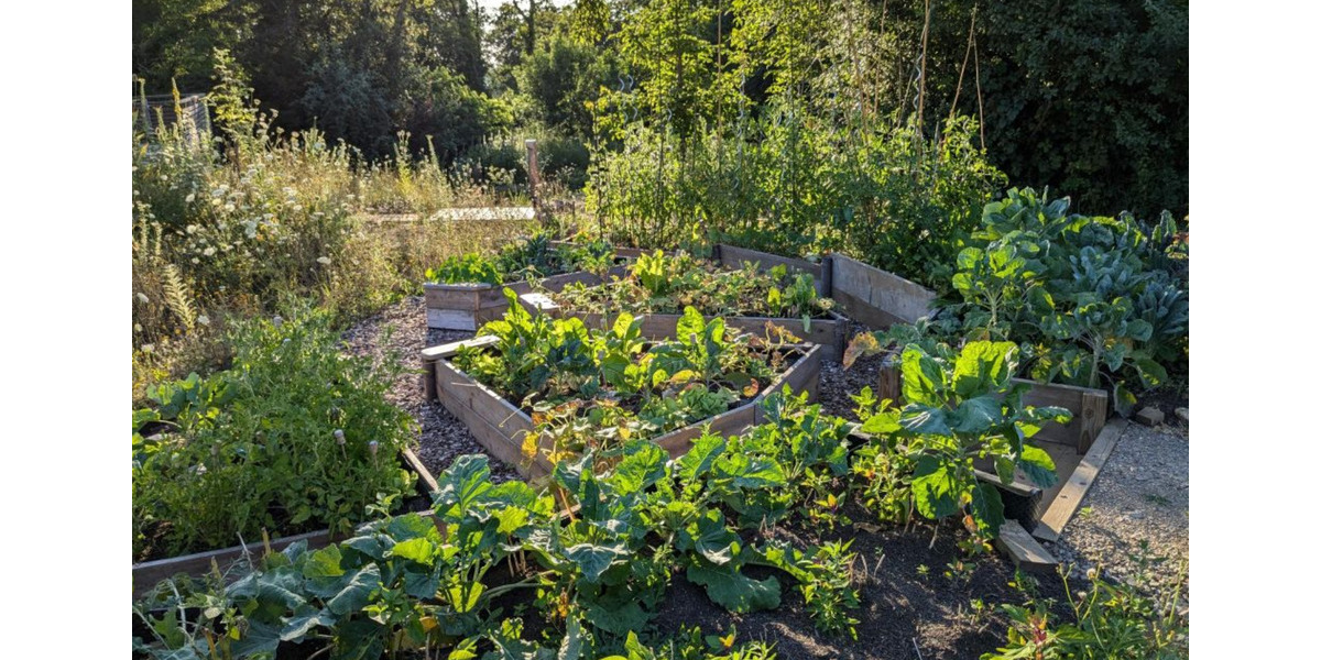 Etagenwohnung Düren Distelrath - 4 Zimmer, 87 m&sup2;, 511.500&euro; | Angebot:25904148