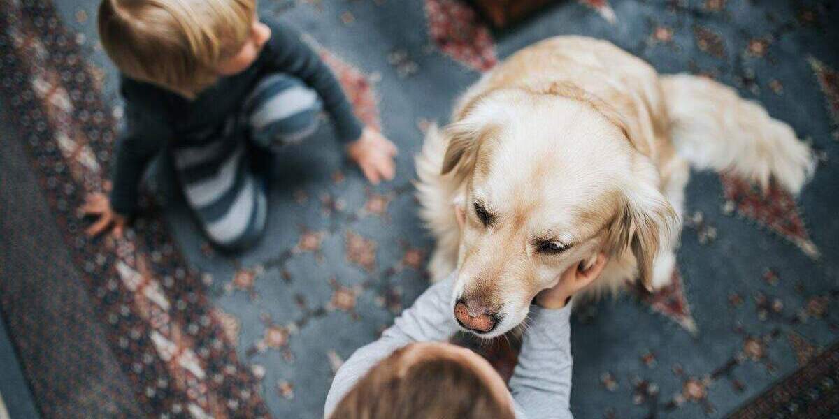 Einfamilienhaus Simmerath - 6 Zimmer, 123 m&sup2;, 399.074&euro; | Angebot:25799465