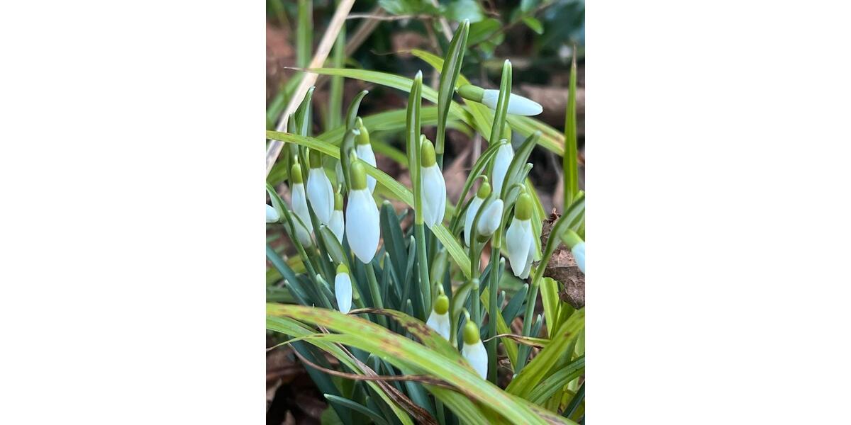 Reihenhaus Baesweiler - 250.000&euro; | Angebot:25057064