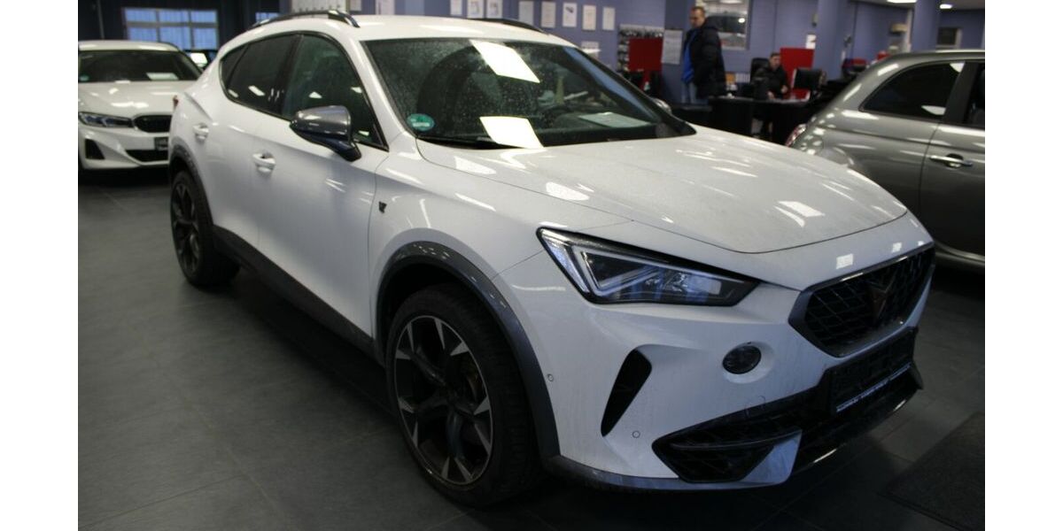 Cupra Formentor 22.265 km 29.980 &euro; Euskirchen 53881
