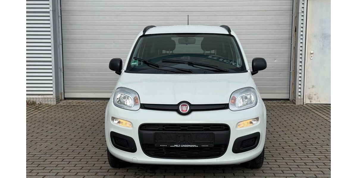 Fiat Panda 18.425 km 9.999 &euro; Düren 52351