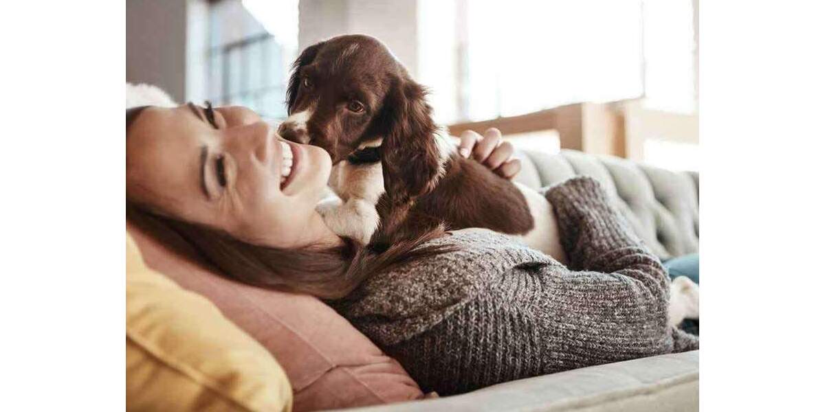 Einfamilienhaus Erftstadt Lechenich - 4 Zimmer, 160 m&sup2;, 471.449&euro; | Angebot:25774734