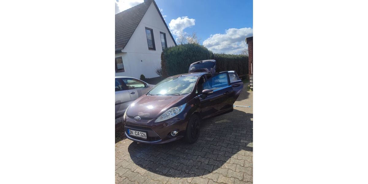 Ford Fiesta 266.000 km 1.800 &euro; Merzenich 52399