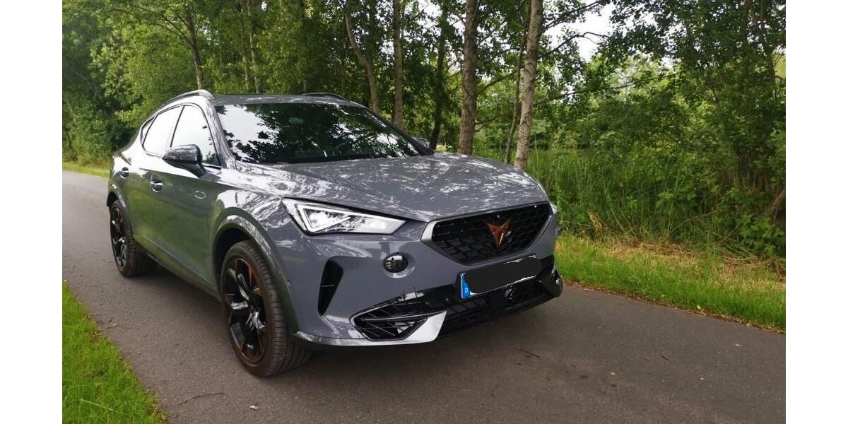 Cupra Formentor 27.350 km 31.500 &euro; Eschweiler 52249