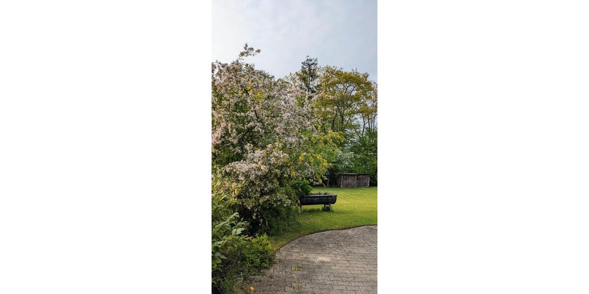 Maisonettenwohnung Stolberg (Rhld.) Gressenich - 3 Zimmer, 95 m&sup2;, 232.000&euro; | Angebot:26837764