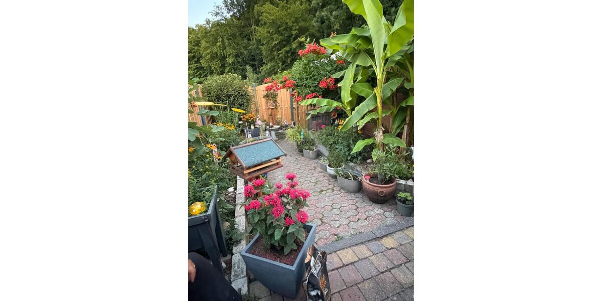 Reihenhaus Herzogenrath - 4 Zimmer, 101 m&sup2;, 229.000&euro; | Angebot:25966319