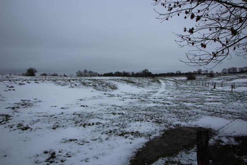 Etagenwohnung Aachen Aachen-Mitte - 1 Zimmer, 35 m&sup2;, 650&euro; | Angebot:24475042