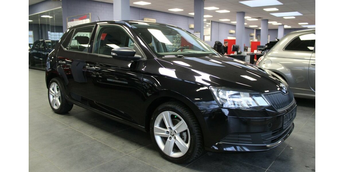 Skoda Fabia 1.0 MPI Cool Edition 84.870 km 8.480 &euro; Euskirchen 53881