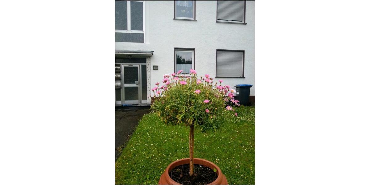 Erdgeschoßwohnung Stolberg (Rhld.) Büsbach - 3 Zimmer, 58 m&sup2;, 750&euro; | Angebot:25907551