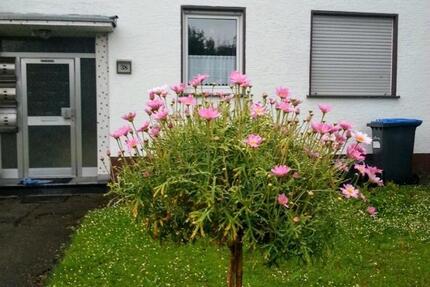 Wohnung Stolberg (Rhld.) Büsbach - 3 Zimmer, 58 m&sup2;, 750&euro; | Angebot:25907551