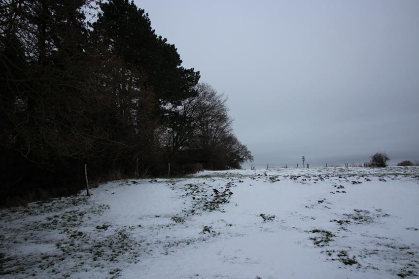 Etagenwohnung Aachen Aachen-Mitte - 1 Zimmer, 35 m&sup2;, 650&euro; | Angebot:24475042