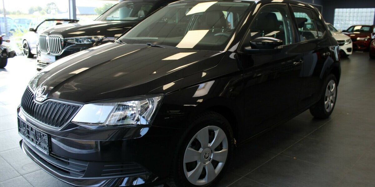 Skoda Fabia 1.0 MPI Cool Edition 66.971 km 7.980 &euro; Euskirchen 53881