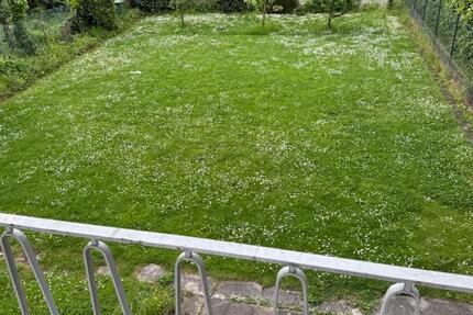Wohnung Düren Distelrath - 2 Zimmer, 58 m&sup2;, 522&euro; | Angebot:26492820