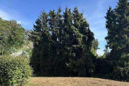 Grundstück Langerwehe - 235.000&euro; | Angebot:21586660