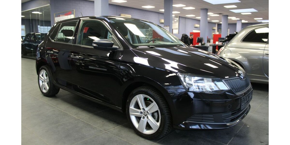 Skoda Fabia 84.870 km 8.480 &euro; Euskirchen 53881