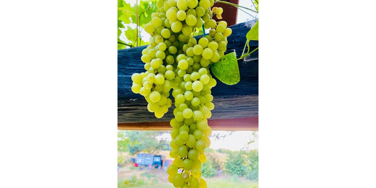 Einfamilienhaus Vettweiß - 8 Zimmer, 260 m&sup2;, 389.000&euro; | Angebot:25844064