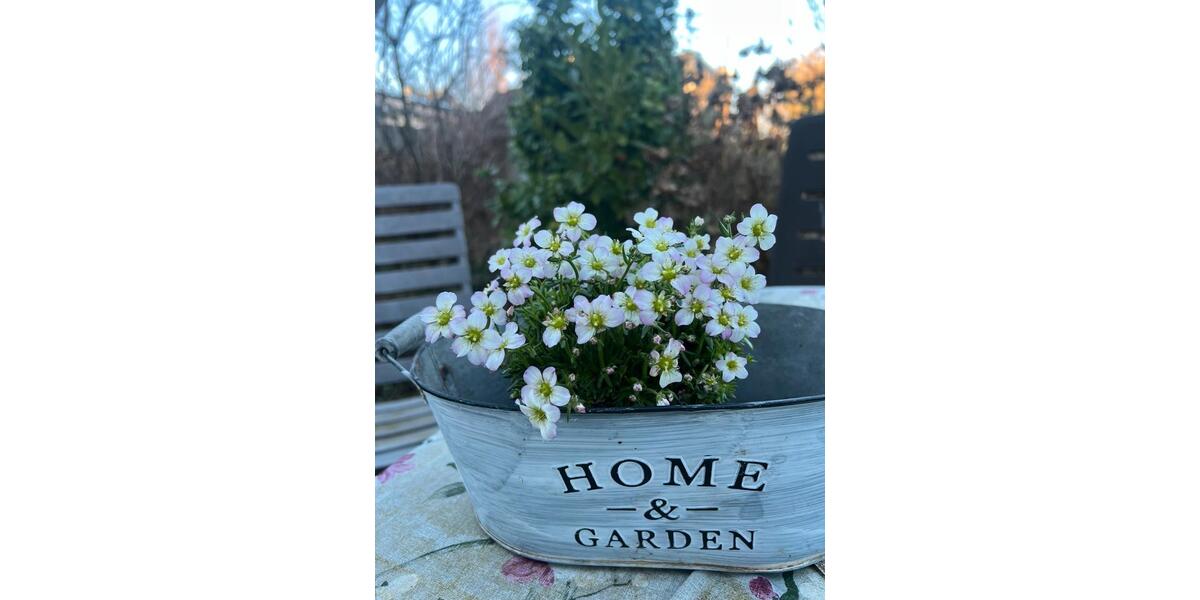 Reihenhaus Aachen Eilendorf - 250.000&euro; | Angebot:24981455