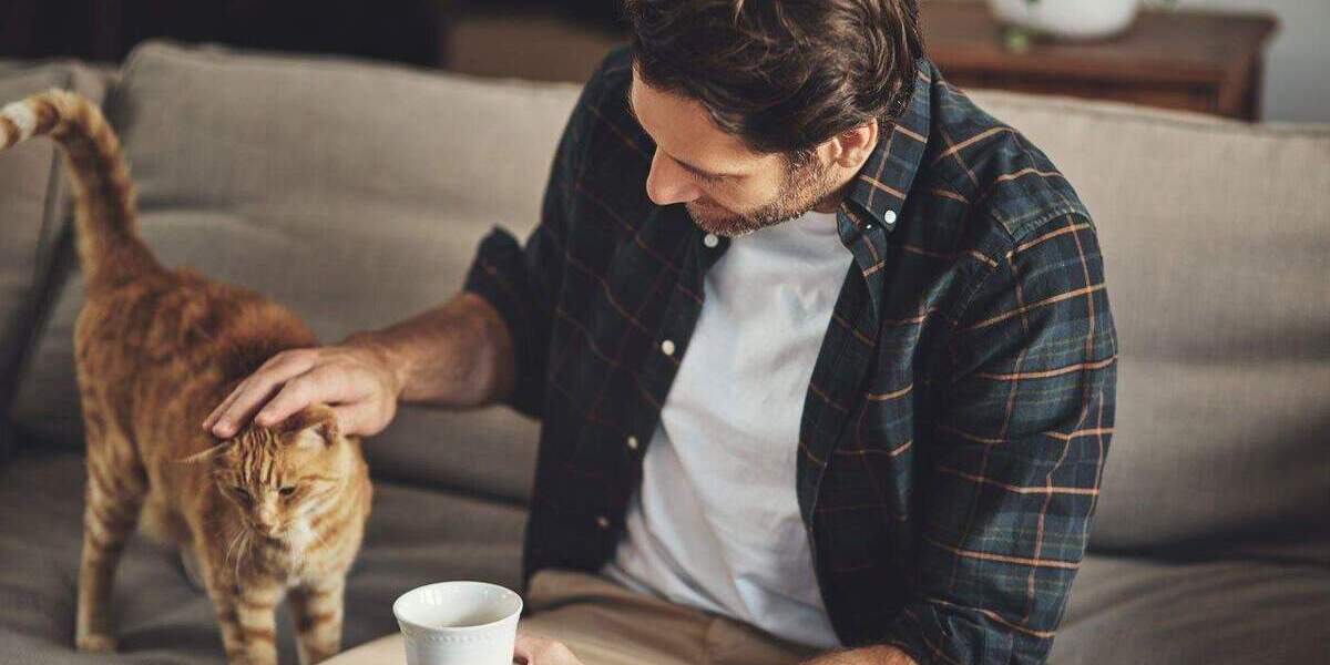 Einfamilienhaus Erftstadt Lechenich - 7 Zimmer, 177 m&sup2;, 528.649&euro; | Angebot:25738888