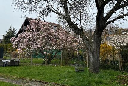 Wohnung Alsdorf - 3 Zimmer, 60 m&sup2;, 730&euro; | Angebot:25871316